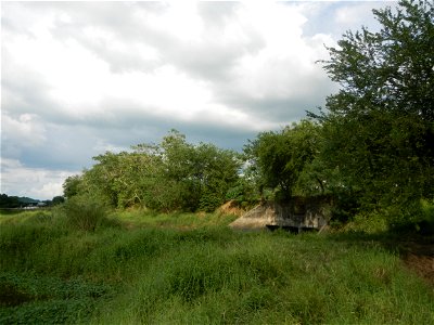 Paddy fields, grasslands, fishponds, irrigation, Kangkung (Ipomoea aquatica) and trees (Lapnit & Calasag, San Ildefonso, Bulacan Farm to Market Road) Barangays  Lapnit 15°4'42"N   120°56'10"E Cala