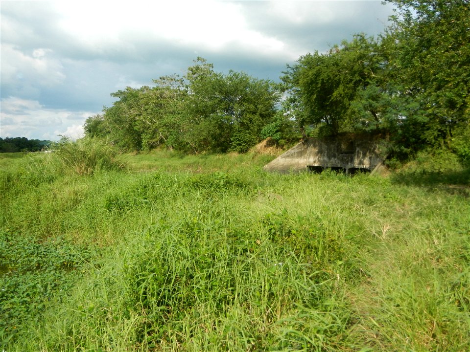 Paddy fields, grasslands, fishponds, irrigation, Kangkung (Ipomoea aquatica) and trees (Lapnit & Calasag, San Ildefonso, Bulacan Farm to Market Road) Barangays  Lapnit 15°4'42"N   120°56'10"E Cala