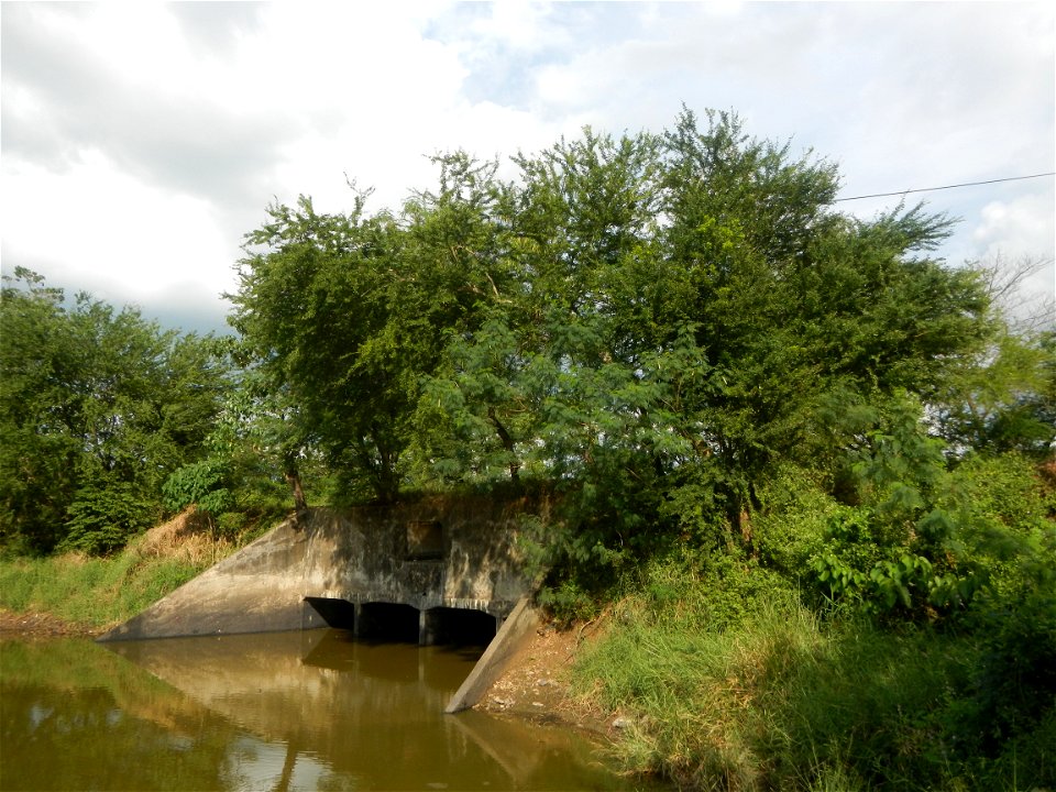 Paddy fields, grasslands, fishponds, irrigation, Kangkung (Ipomoea aquatica) and trees (Lapnit & Calasag, San Ildefonso, Bulacan Farm to Market Road) Barangays  Lapnit 15°4'42"N   120°56'10"E Cala