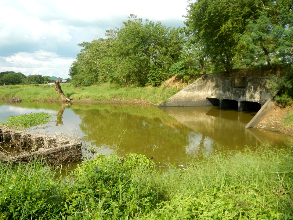 Paddy fields, grasslands, fishponds, irrigation, Kangkung (Ipomoea aquatica) and trees (Lapnit & Calasag, San Ildefonso, Bulacan Farm to Market Road) Barangays  Lapnit 15°4'42"N   120°56'10"E Cala