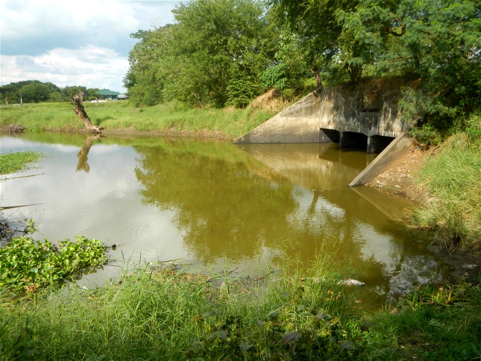 Paddy fields, grasslands, fishponds, irrigation, Kangkung (Ipomoea aquatica) and trees (Lapnit & Calasag, San Ildefonso, Bulacan Farm to Market Road) Barangays  Lapnit 15°4'42"N   120°56'10"E Cala