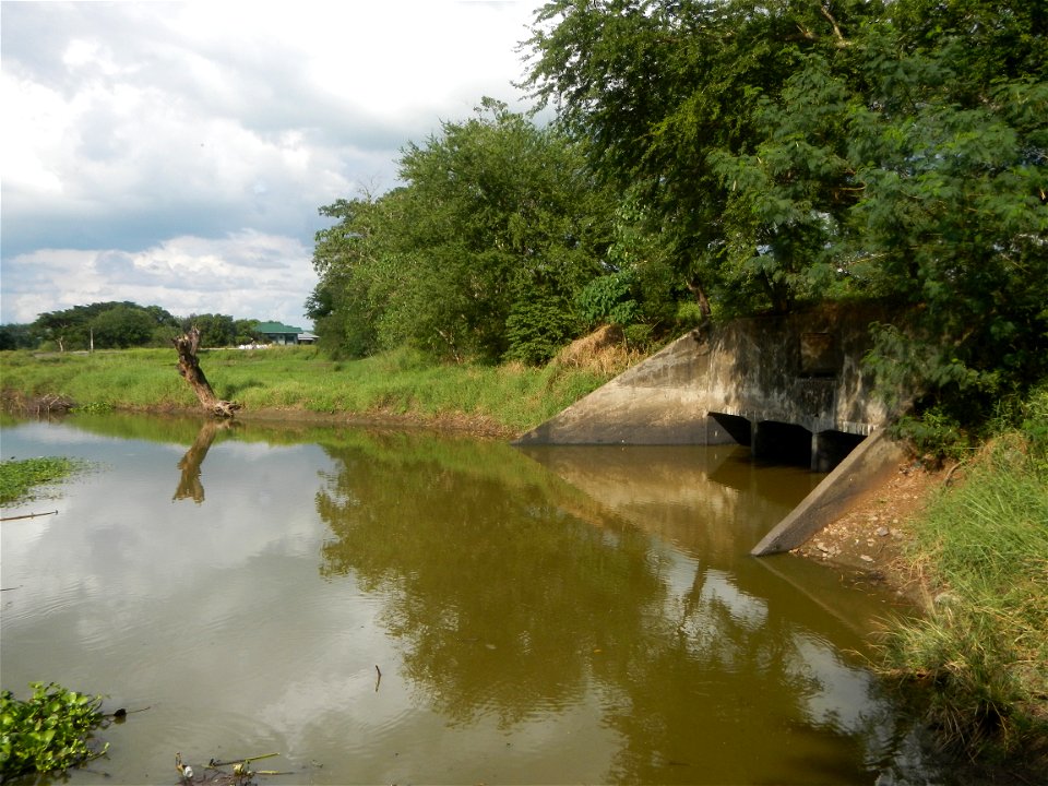 Paddy fields, grasslands, fishponds, irrigation, Kangkung (Ipomoea aquatica) and trees (Lapnit & Calasag, San Ildefonso, Bulacan Farm to Market Road) Barangays  Lapnit 15°4'42"N   120°56'10"E Cala