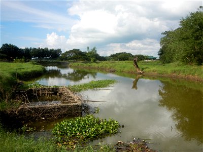 Paddy fields, grasslands, fishponds, irrigation, Kangkung (Ipomoea aquatica) and trees (Lapnit & Calasag, San Ildefonso, Bulacan Farm to Market Road) Barangays  Lapnit 15°4'42"N   120°56'10"E Cala