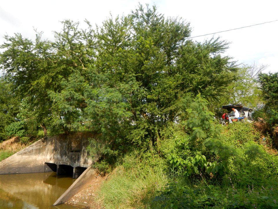 Paddy fields, grasslands, fishponds, irrigation, Kangkung (Ipomoea aquatica) and trees (Lapnit & Calasag, San Ildefonso, Bulacan Farm to Market Road) Barangays  Lapnit 15°4'42"N   120°56'10"E Cala
