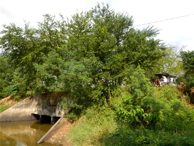 Paddy fields, grasslands, fishponds, irrigation, Kangkung (Ipomoea aquatica) and trees (Lapnit & Calasag, San Ildefonso, Bulacan Farm to Market Road) Barangays  Lapnit 15°4'42"N   120°56'10"E Cala