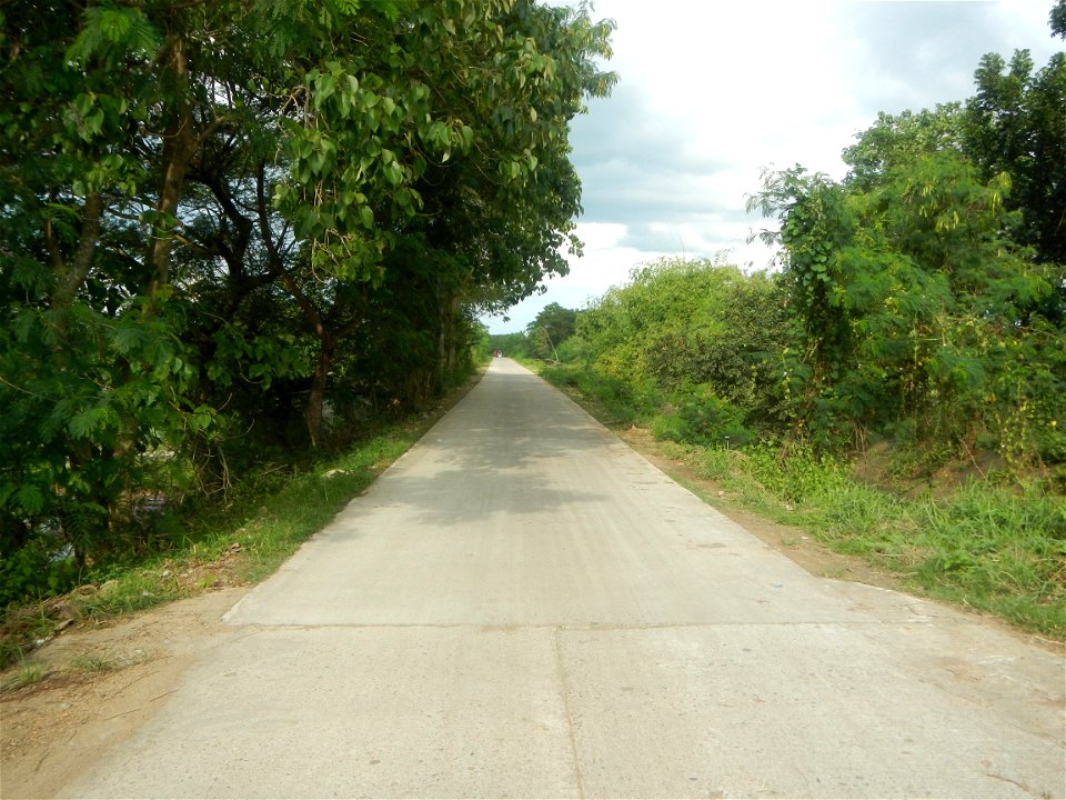 Paddy fields, grasslands, fishponds, irrigation, Kangkung (Ipomoea aquatica) and trees (Lapnit & Calasag, San Ildefonso, Bulacan Farm to Market Road) Barangays  Lapnit 15°4'42"N   120°56'10"E Cala