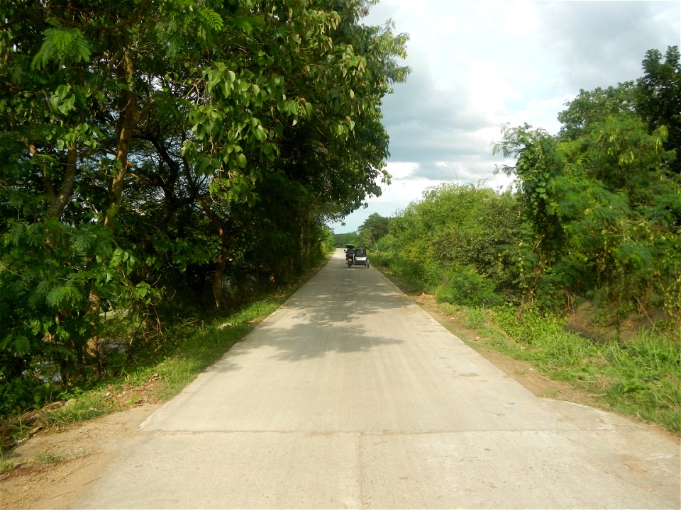Paddy fields, grasslands, fishponds, irrigation, Kangkung (Ipomoea aquatica) and trees (Lapnit & Calasag, San Ildefonso, Bulacan Farm to Market Road) Barangays  Lapnit 15°4'42"N   120°56'10"E Cala
