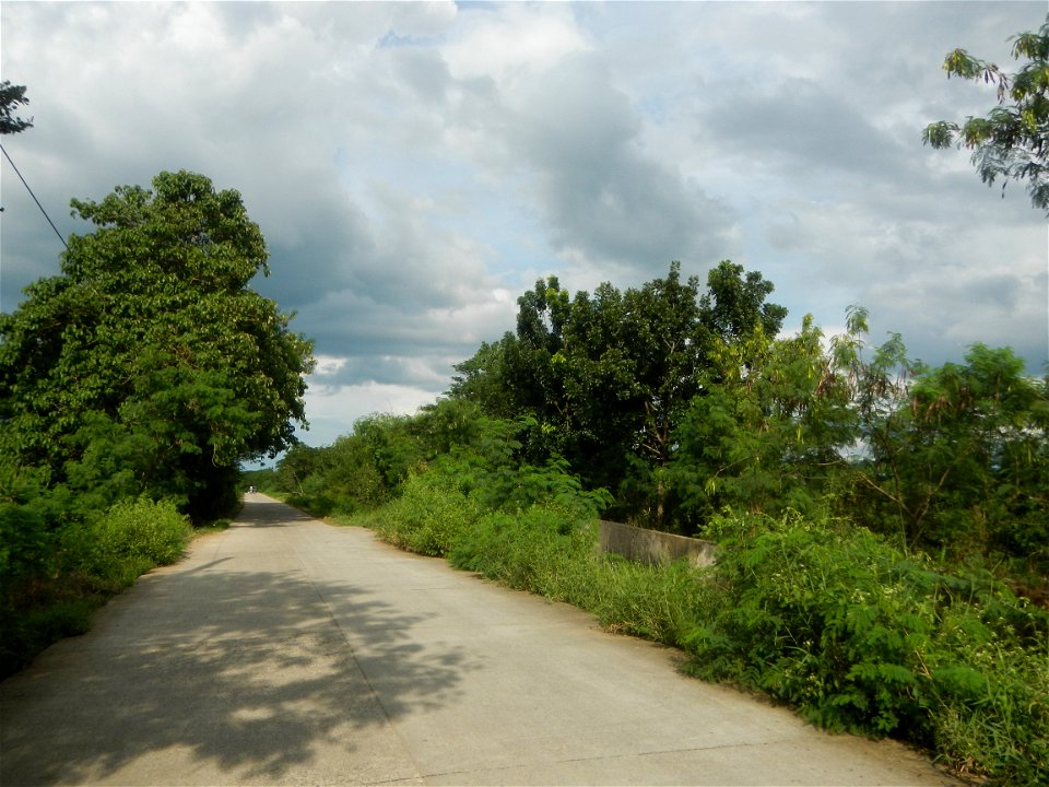 Paddy fields, grasslands, fishponds, irrigation, Kangkung (Ipomoea aquatica) and trees (Lapnit & Calasag, San Ildefonso, Bulacan Farm to Market Road) Barangays  Lapnit 15°4'42"N   120°56'10"E Cala