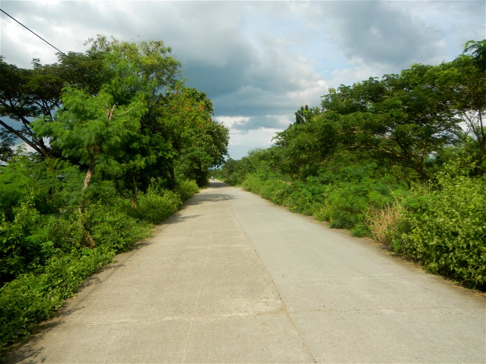 Paddy fields, grasslands, fishponds, irrigation, Kangkung (Ipomoea aquatica) and trees (Lapnit & Calasag, San Ildefonso, Bulacan Farm to Market Road) Barangays  Lapnit 15°4'42"N   120°56'10"E Cala