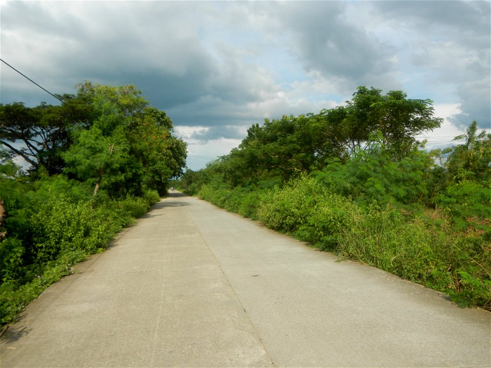 Paddy fields, grasslands, fishponds, irrigation, Kangkung (Ipomoea aquatica) and trees (Lapnit & Calasag, San Ildefonso, Bulacan Farm to Market Road) Barangays  Lapnit 15°4'42"N   120°56'10"E Cala