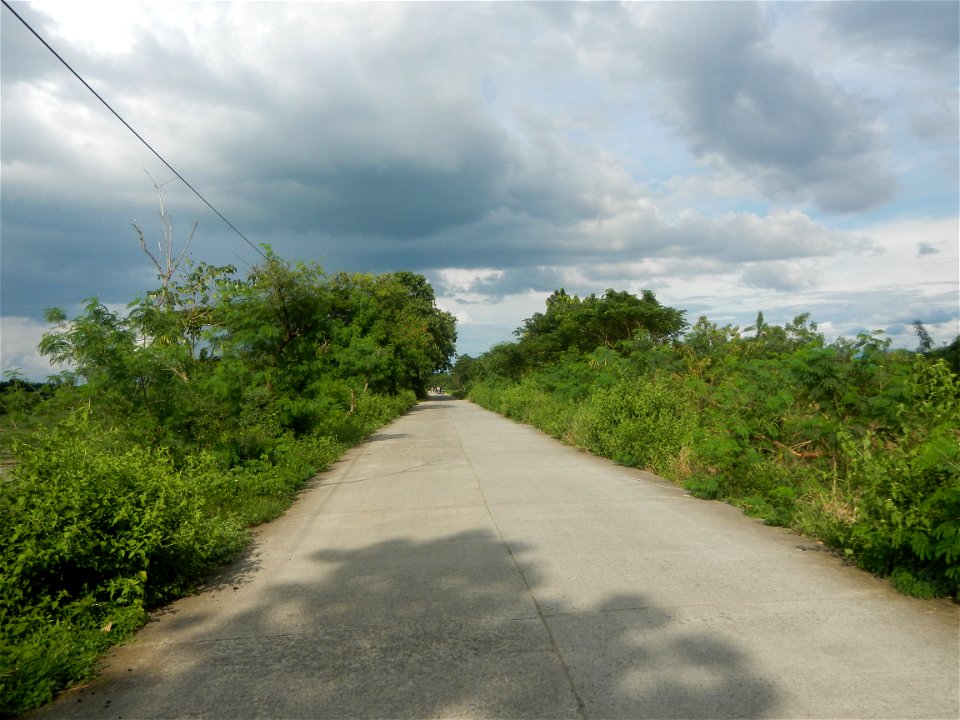 Paddy fields, grasslands, fishponds, irrigation, Kangkung (Ipomoea aquatica) and trees (Lapnit & Calasag, San Ildefonso, Bulacan Farm to Market Road) Barangays  Lapnit 15°4'42"N   120°56'10"E Cala