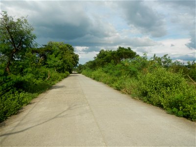 Paddy fields, grasslands, fishponds, irrigation, Kangkung (Ipomoea aquatica) and trees (Lapnit & Calasag, San Ildefonso, Bulacan Farm to Market Road) Barangays  Lapnit 15°4'42"N   120°56'10"E Cala