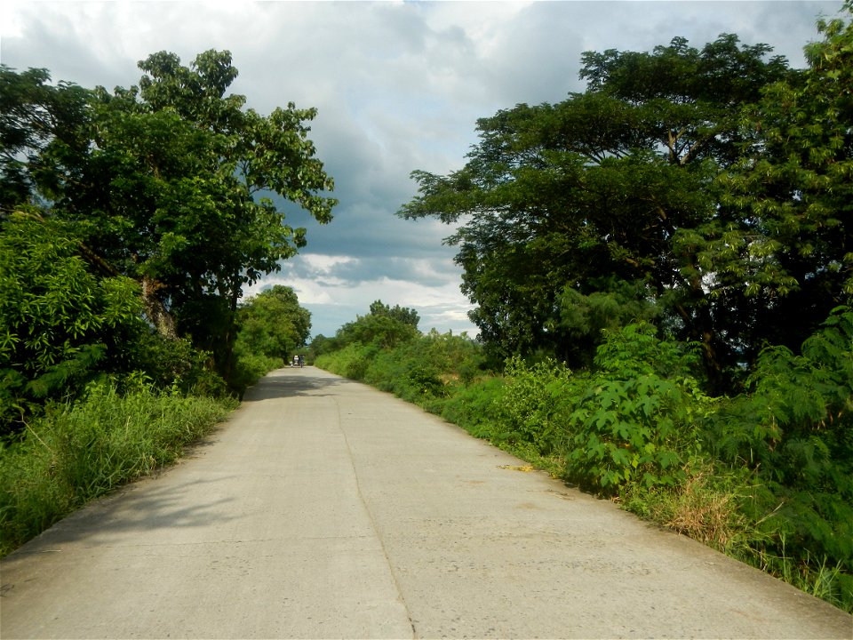 Paddy fields, grasslands, fishponds, irrigation, Kangkung (Ipomoea aquatica) and trees (Lapnit & Calasag, San Ildefonso, Bulacan Farm to Market Road) Barangays  Lapnit 15°4'42"N   120°56'10"E Cala