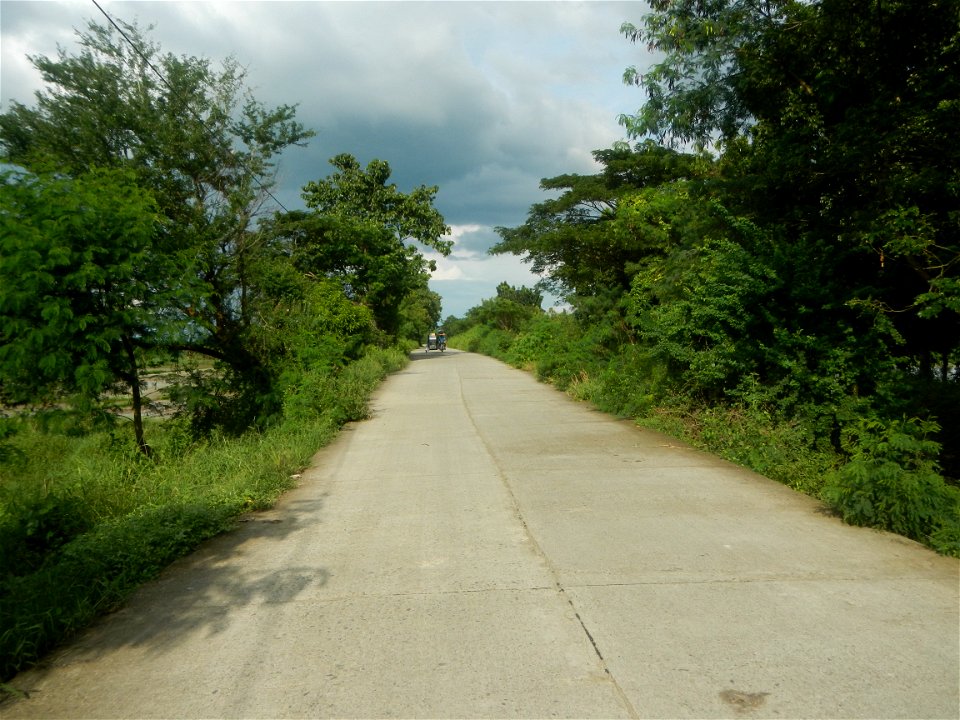 Paddy fields, grasslands, fishponds, irrigation, Kangkung (Ipomoea aquatica) and trees (Lapnit & Calasag, San Ildefonso, Bulacan Farm to Market Road) Barangays  Lapnit 15°4'42"N   120°56'10"E Cala