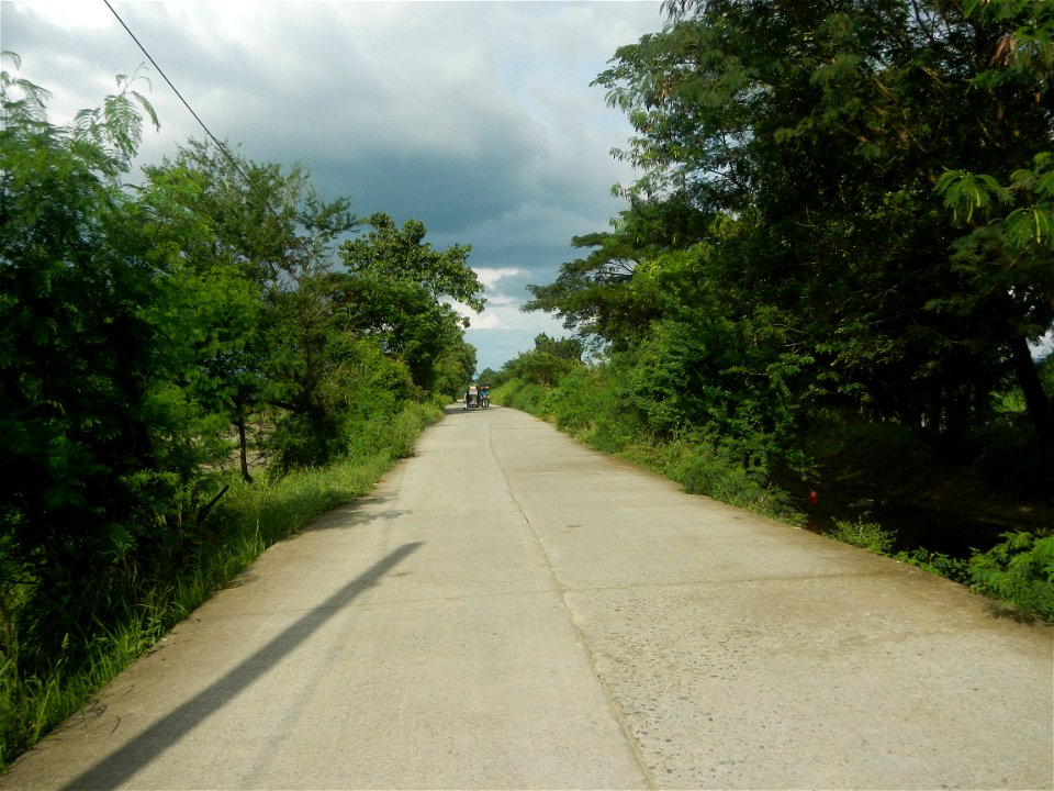 Paddy fields, grasslands, fishponds, irrigation, Kangkung (Ipomoea aquatica) and trees (Lapnit & Calasag, San Ildefonso, Bulacan Farm to Market Road) Barangays  Lapnit 15°4'42"N   120°56'10"E Cala