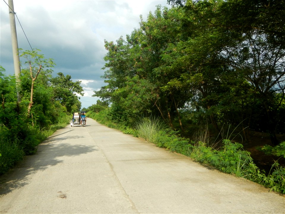 Paddy fields, grasslands, fishponds, irrigation, Kangkung (Ipomoea aquatica) and trees (Lapnit & Calasag, San Ildefonso, Bulacan Farm to Market Road) Barangays  Lapnit 15°4'42"N   120°56'10"E Cala
