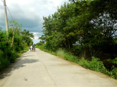 Paddy fields, grasslands, fishponds, irrigation, Kangkung (Ipomoea aquatica) and trees (Lapnit & Calasag, San Ildefonso, Bulacan Farm to Market Road) Barangays  Lapnit 15°4'42"N   120°56'10"E Cala