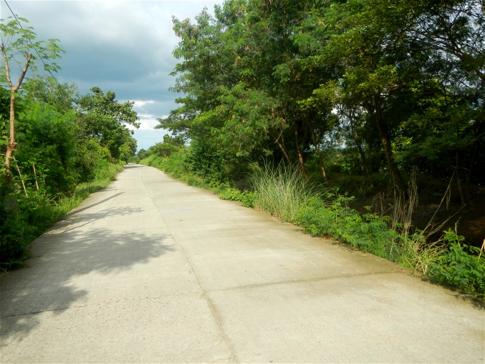 Paddy fields, grasslands, fishponds, irrigation, Kangkung (Ipomoea aquatica) and trees (Lapnit & Calasag, San Ildefonso, Bulacan Farm to Market Road) Barangays  Lapnit 15°4'42"N   120°56'10"E Cala