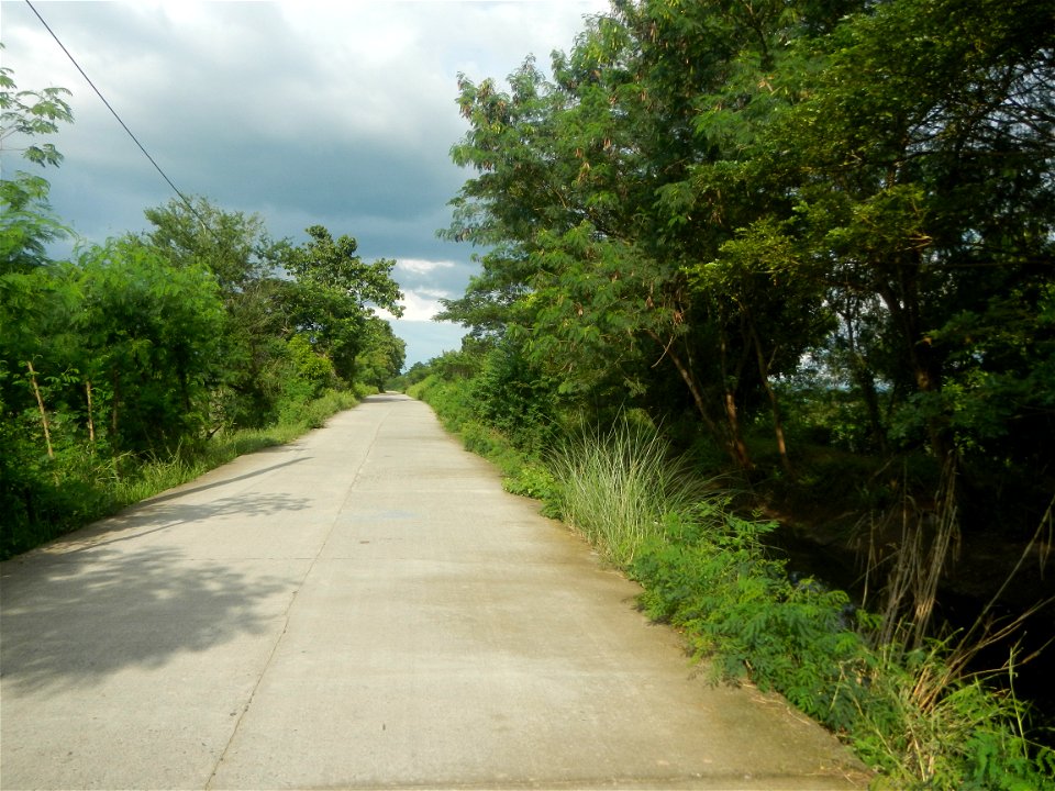 Paddy fields, grasslands, fishponds, irrigation, Kangkung (Ipomoea aquatica) and trees (Lapnit & Calasag, San Ildefonso, Bulacan Farm to Market Road) Barangays  Lapnit 15°4'42"N   120°56'10"E Cala