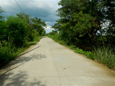 Paddy fields, grasslands, fishponds, irrigation, Kangkung (Ipomoea aquatica) and trees (Lapnit & Calasag, San Ildefonso, Bulacan Farm to Market Road) Barangays  Lapnit 15°4'42"N   120°56'10"E Cala