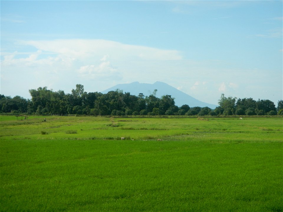 Paddy fields, grasslands, fishponds, irrigation, Kangkung (Ipomoea aquatica) and trees (Lapnit & Calasag, San Ildefonso, Bulacan Farm to Market Road) Barangays  Lapnit 15°4'42"N   120°56'10"E Cala