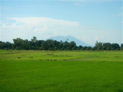 Paddy fields, grasslands, fishponds, irrigation, Kangkung (Ipomoea aquatica) and trees (Lapnit & Calasag, San Ildefonso, Bulacan Farm to Market Road) Barangays  Lapnit 15°4'42"N   120°56'10"E Cala