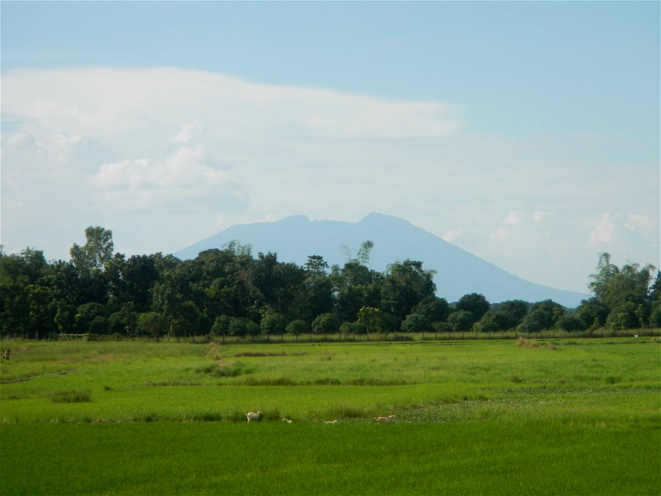 Paddy fields, grasslands, fishponds, irrigation, Kangkung (Ipomoea aquatica) and trees (Lapnit & Calasag, San Ildefonso, Bulacan Farm to Market Road) Barangays  Lapnit 15°4'42"N   120°56'10"E Cala