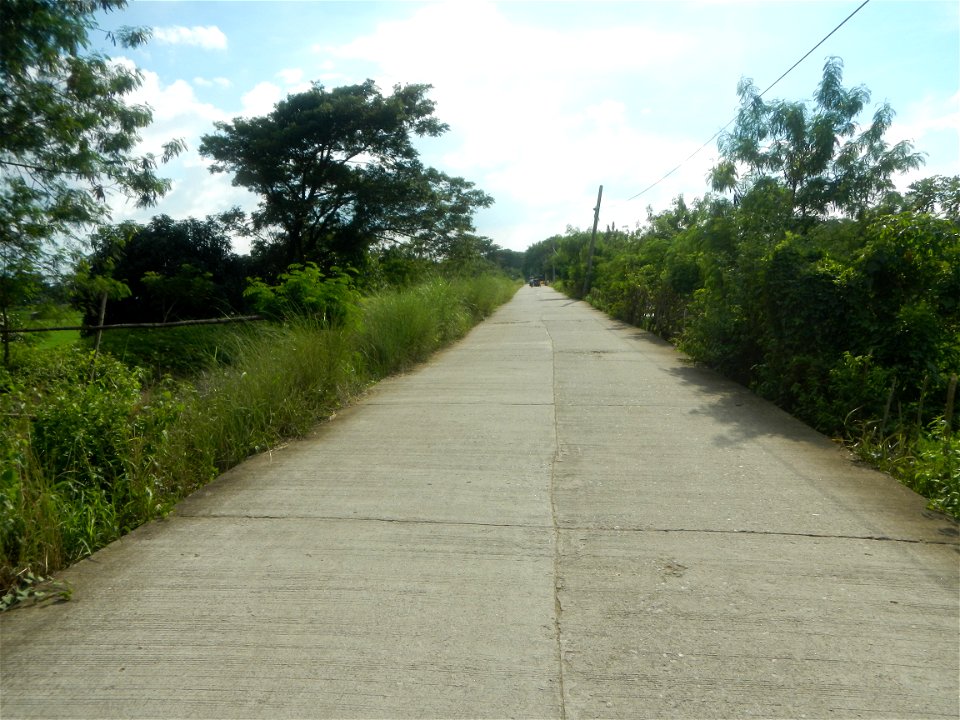 Paddy fields, grasslands, fishponds, irrigation, Kangkung (Ipomoea aquatica) and trees (Lapnit & Calasag, San Ildefonso, Bulacan Farm to Market Road) Barangays  Lapnit 15°4'42"N   120°56'10"E Cala