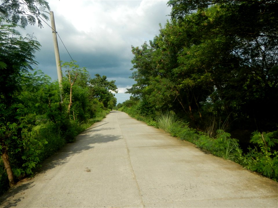 Paddy fields, grasslands, fishponds, irrigation, Kangkung (Ipomoea aquatica) and trees (Lapnit & Calasag, San Ildefonso, Bulacan Farm to Market Road) Barangays  Lapnit 15°4'42"N   120°56'10"E Cala