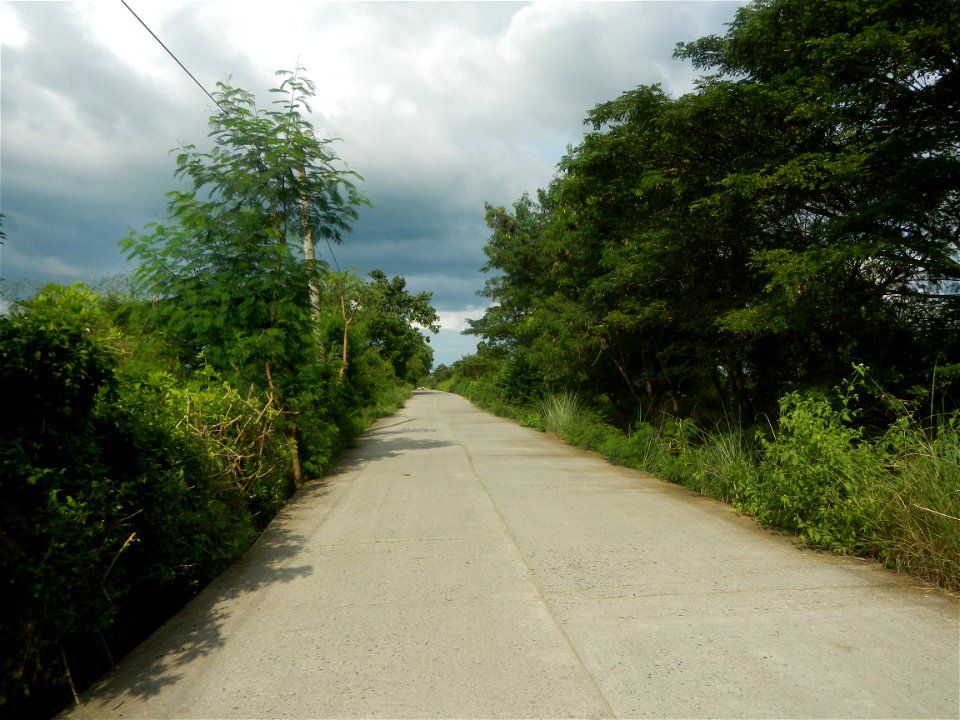 Paddy fields, grasslands, fishponds, irrigation, Kangkung (Ipomoea aquatica) and trees (Lapnit & Calasag, San Ildefonso, Bulacan Farm to Market Road) Barangays  Lapnit 15°4'42"N   120°56'10"E Cala