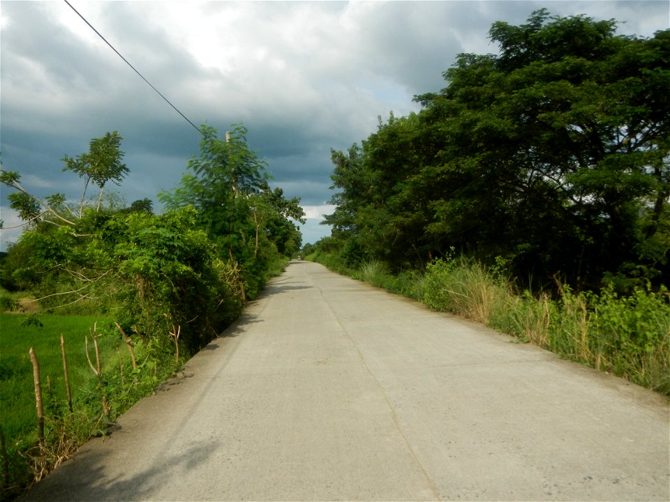 Paddy fields, grasslands, fishponds, irrigation, Kangkung (Ipomoea aquatica) and trees (Lapnit & Calasag, San Ildefonso, Bulacan Farm to Market Road) Barangays  Lapnit 15°4'42"N   120°56'10"E Cala