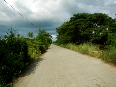 Paddy fields, grasslands, fishponds, irrigation, Kangkung (Ipomoea aquatica) and trees (Lapnit & Calasag, San Ildefonso, Bulacan Farm to Market Road) Barangays  Lapnit 15°4'42"N   120°56'10"E Cala