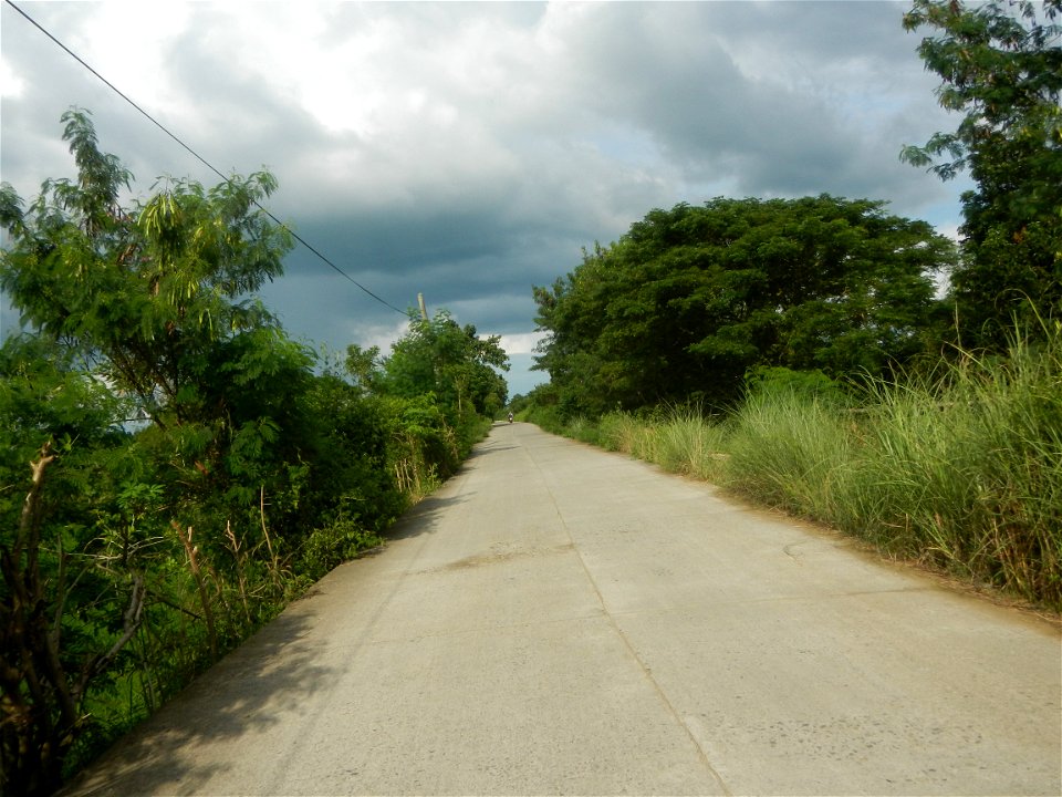 Paddy fields, grasslands, fishponds, irrigation, Kangkung (Ipomoea aquatica) and trees (Lapnit & Calasag, San Ildefonso, Bulacan Farm to Market Road) Barangays  Lapnit 15°4'42"N   120°56'10"E Cala