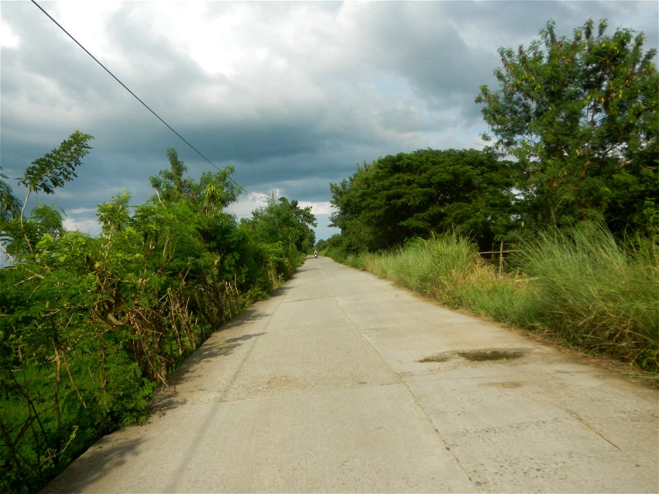 Paddy fields, grasslands, fishponds, irrigation, Kangkung (Ipomoea aquatica) and trees (Lapnit & Calasag, San Ildefonso, Bulacan Farm to Market Road) Barangays  Lapnit 15°4'42"N   120°56'10"E Cala