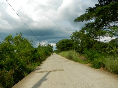 Paddy fields, grasslands, fishponds, irrigation, Kangkung (Ipomoea aquatica) and trees (Lapnit & Calasag, San Ildefonso, Bulacan Farm to Market Road) Barangays  Lapnit 15°4'42"N   120°56'10"E Cala