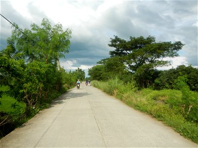 Paddy fields, grasslands, fishponds, irrigation, Kangkung (Ipomoea aquatica) and trees (Lapnit & Calasag, San Ildefonso, Bulacan Farm to Market Road) Barangays  Lapnit 15°4'42"N   120°56'10"E Cala