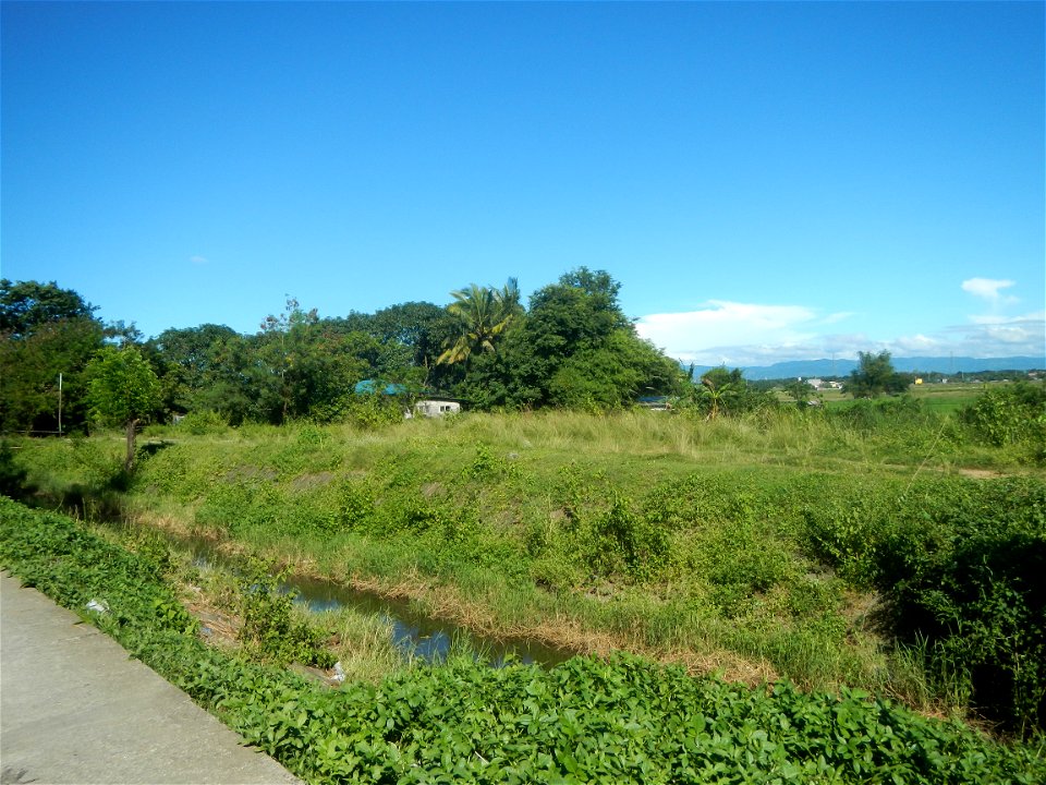Paddy fields, grasslands, fishponds, irrigation canals, Kangkung (Ipomoea aquatica) and trees (Lapnit & Calasag, San Ildefonso, Bulacan Farm to Market Road) Villages and sitios of Calasag, San Ild