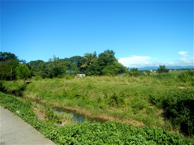 Paddy fields, grasslands, fishponds, irrigation canals, Kangkung (Ipomoea aquatica) and trees (Lapnit & Calasag, San Ildefonso, Bulacan Farm to Market Road) Villages and sitios of Calasag, San Ild