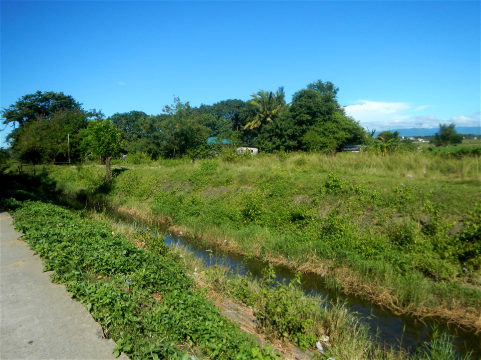 Paddy fields, grasslands, fishponds, irrigation canals, Kangkung (Ipomoea aquatica) and trees (Lapnit & Calasag, San Ildefonso, Bulacan Farm to Market Road) Villages and sitios of Calasag, San Ild