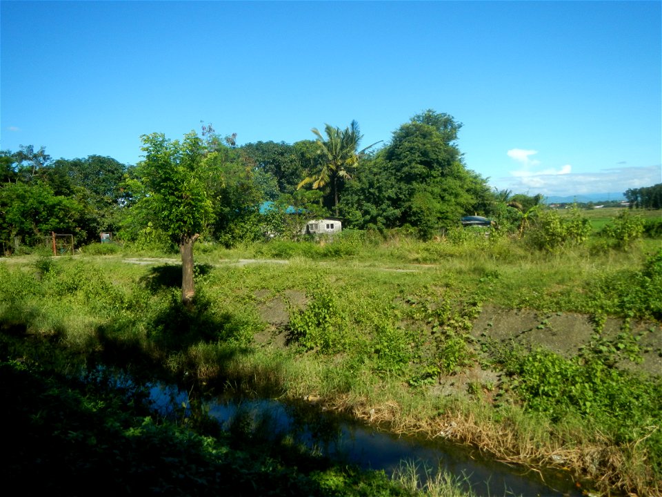 Paddy fields, grasslands, fishponds, irrigation canals, Kangkung (Ipomoea aquatica) and trees (Lapnit & Calasag, San Ildefonso, Bulacan Farm to Market Road) Villages and sitios of Calasag, San Ild