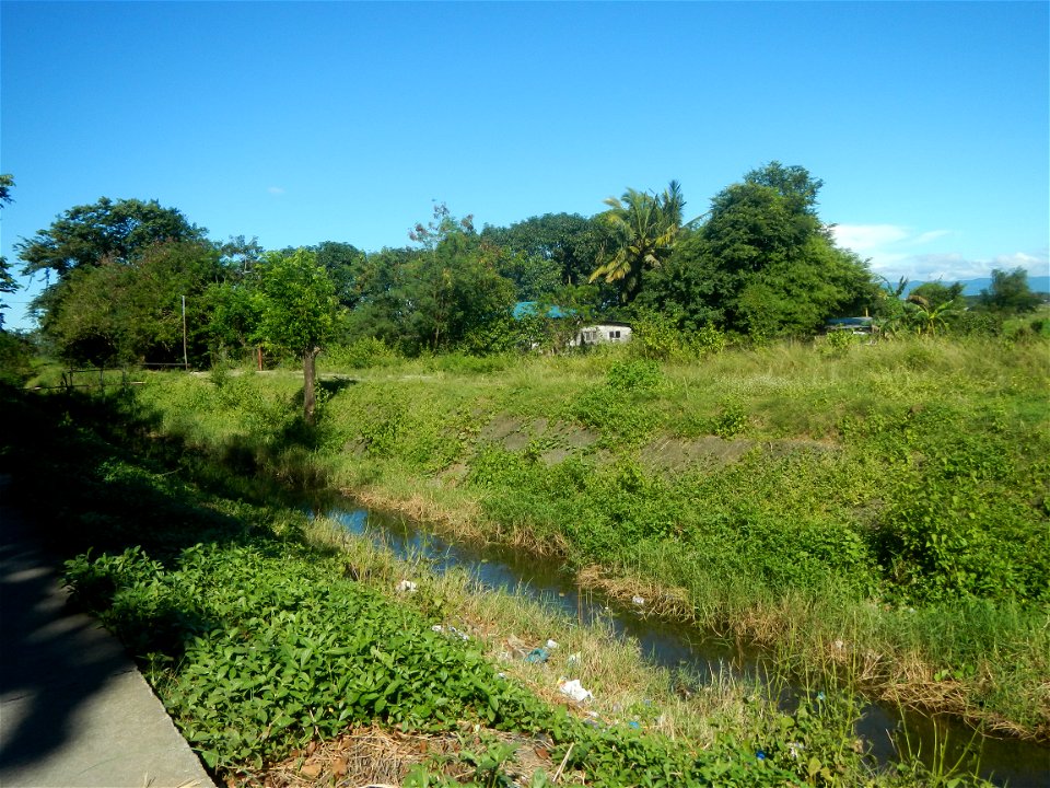 Paddy fields, grasslands, fishponds, irrigation canals, Kangkung (Ipomoea aquatica) and trees (Lapnit & Calasag, San Ildefonso, Bulacan Farm to Market Road) Villages and sitios of Calasag, San Ild