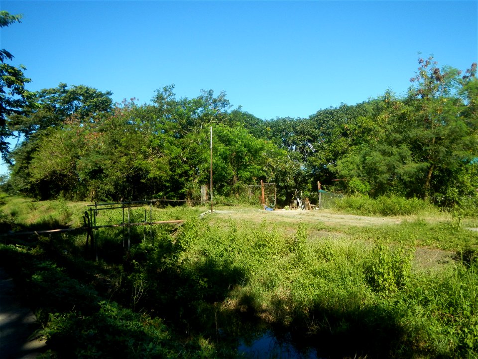 Paddy fields, grasslands, fishponds, irrigation canals, Kangkung (Ipomoea aquatica) and trees (Lapnit & Calasag, San Ildefonso, Bulacan Farm to Market Road) Villages and sitios of Calasag, San Ild