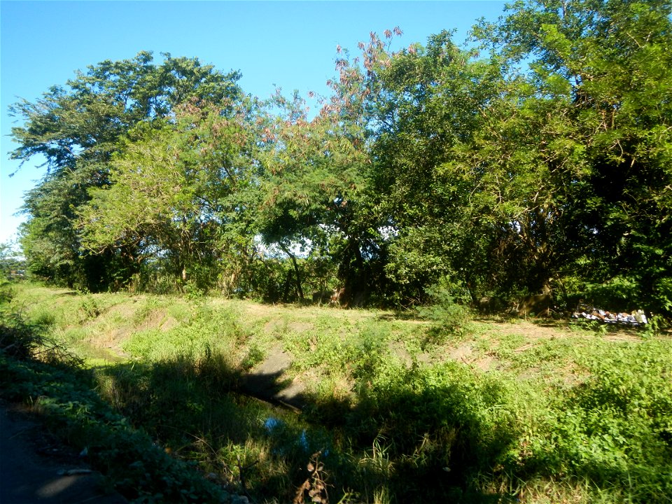 Paddy fields, grasslands, fishponds, irrigation canals, Kangkung (Ipomoea aquatica) and trees (Lapnit & Calasag, San Ildefonso, Bulacan Farm to Market Road) Villages and sitios of Calasag, San Ild