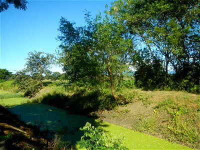 Paddy fields, grasslands, fishponds, irrigation canals, Kangkung (Ipomoea aquatica) and trees (Lapnit & Calasag, San Ildefonso, Bulacan Farm to Market Road) Villages and sitios of Calasag, San Ild