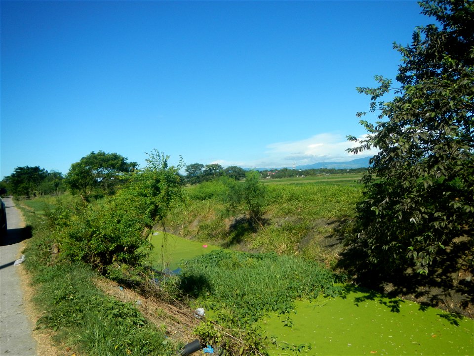 Paddy fields, grasslands, fishponds, irrigation canals, Kangkung (Ipomoea aquatica) and trees (Lapnit & Calasag, San Ildefonso, Bulacan Farm to Market Road) Villages and sitios of Calasag, San Ild