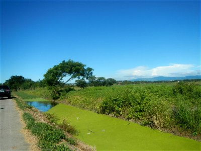 Paddy fields, grasslands, fishponds, irrigation canals, Kangkung (Ipomoea aquatica) and trees (Lapnit & Calasag, San Ildefonso, Bulacan Farm to Market Road) Villages and sitios of Calasag, San Ild