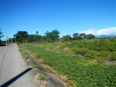 Paddy fields, grasslands, fishponds, irrigation canals, Kangkung (Ipomoea aquatica) and trees (Lapnit & Calasag, San Ildefonso, Bulacan Farm to Market Road) Villages and sitios of Calasag, San Ild