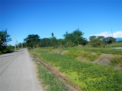 Paddy fields, grasslands, fishponds, irrigation canals, Kangkung (Ipomoea aquatica) and trees (Lapnit & Calasag, San Ildefonso, Bulacan Farm to Market Road) Villages and sitios of Calasag, San Ild