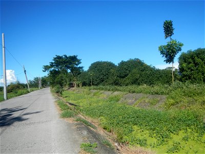 Paddy fields, grasslands, fishponds, irrigation canals, Kangkung (Ipomoea aquatica) and trees (Lapnit & Calasag, San Ildefonso, Bulacan Farm to Market Road) Villages and sitios of Calasag, San Ild