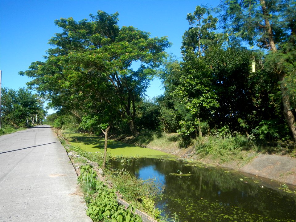 Paddy fields, grasslands, fishponds, irrigation canals, Kangkung (Ipomoea aquatica) and trees (Lapnit & Calasag, San Ildefonso, Bulacan Farm to Market Road) Villages and sitios of Calasag, San Ild